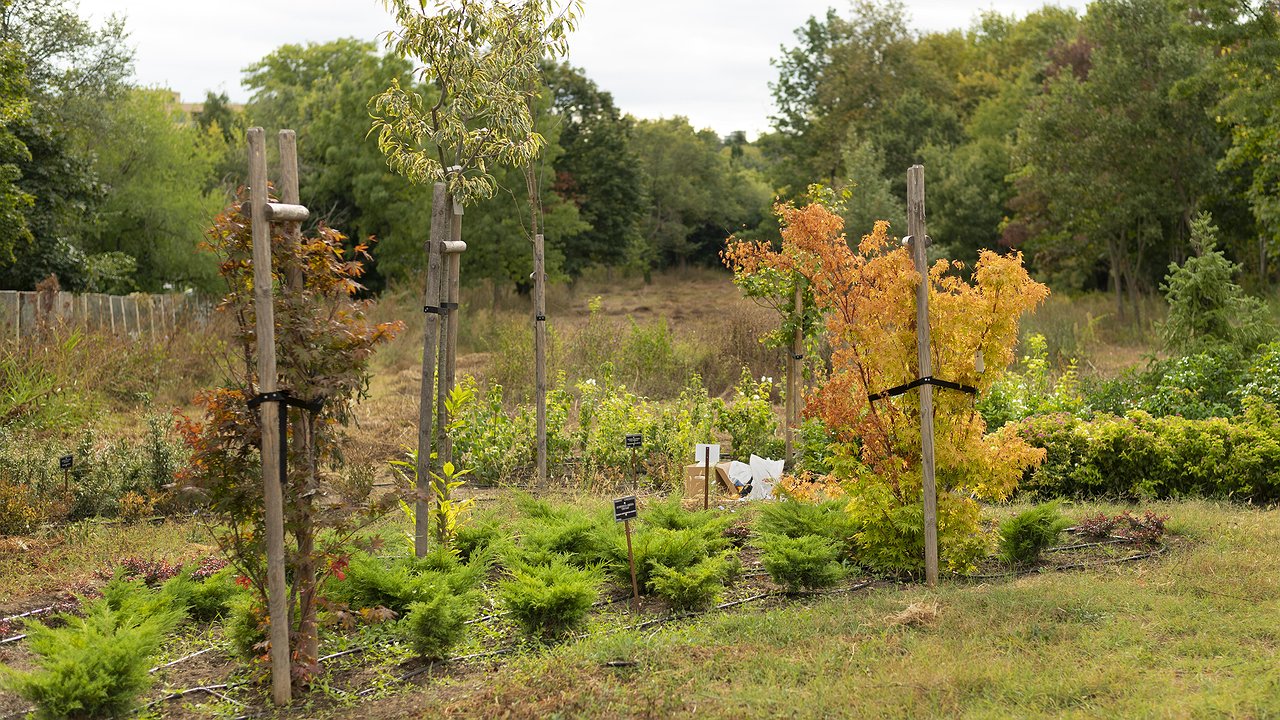 Главная картинка новости: Сорняки вмиг завянут: разведите 1 стакан на ведро и полейте вечером - утром не узнаете свой огород