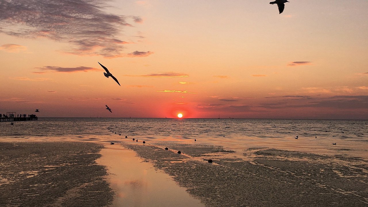 Главная картинка новости: Погода в Калужской области: синоптики прогнозируют теплый, но порывистый день с переменной облачностью