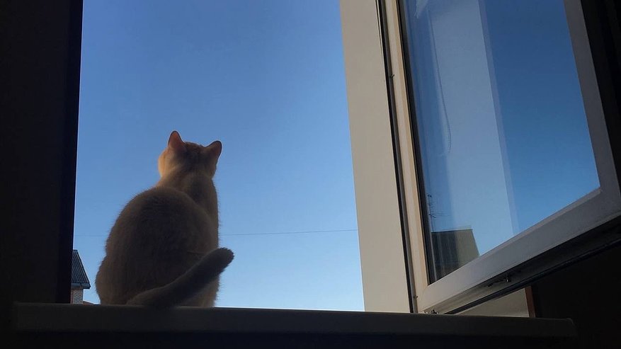 Главная картинка новости: Погода в июне: в какие регионы России идут дожди, а кто будет изнывать от жары — сообщили синоптики