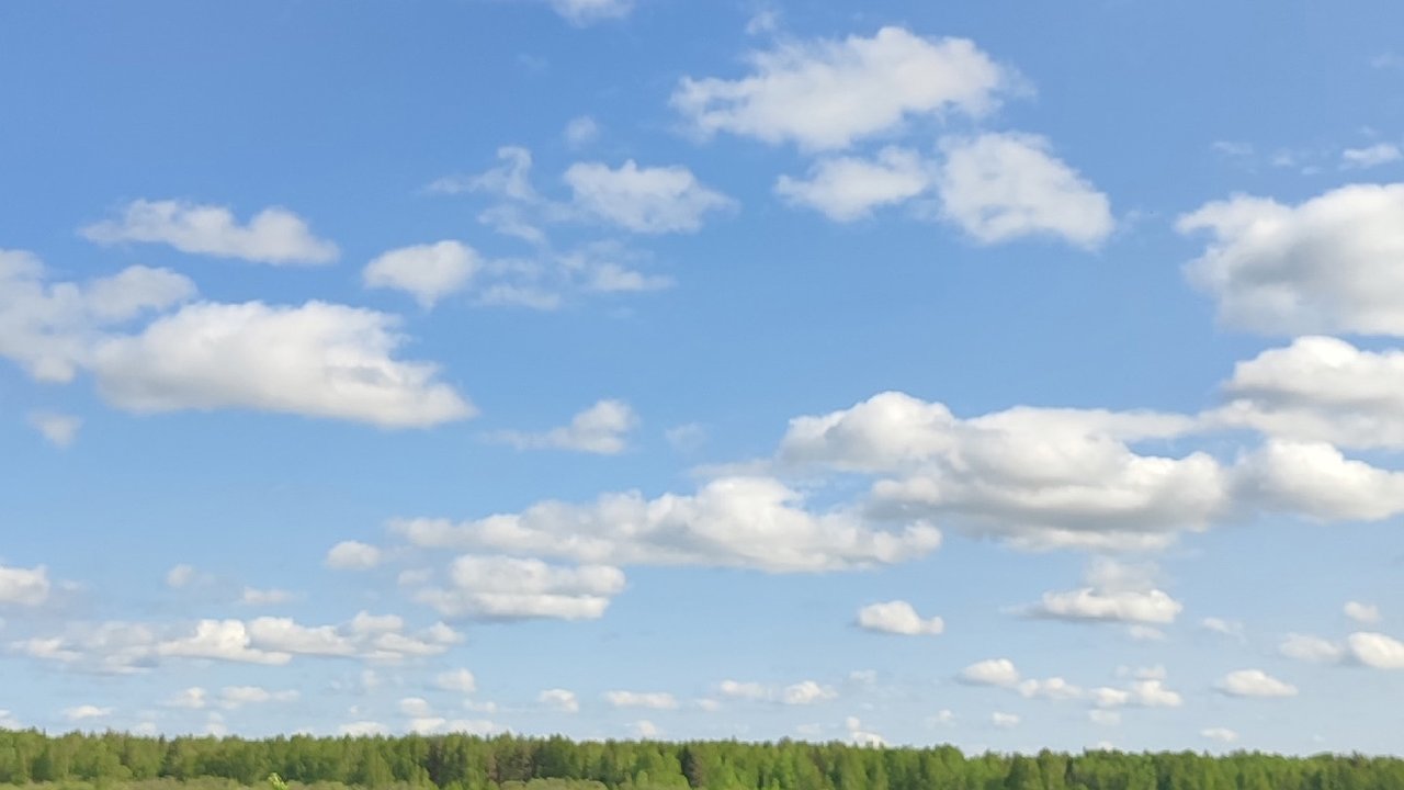 Главная картинка новости: Холодный атмосферный фронт принес в Калужскую область дожди и похолодание