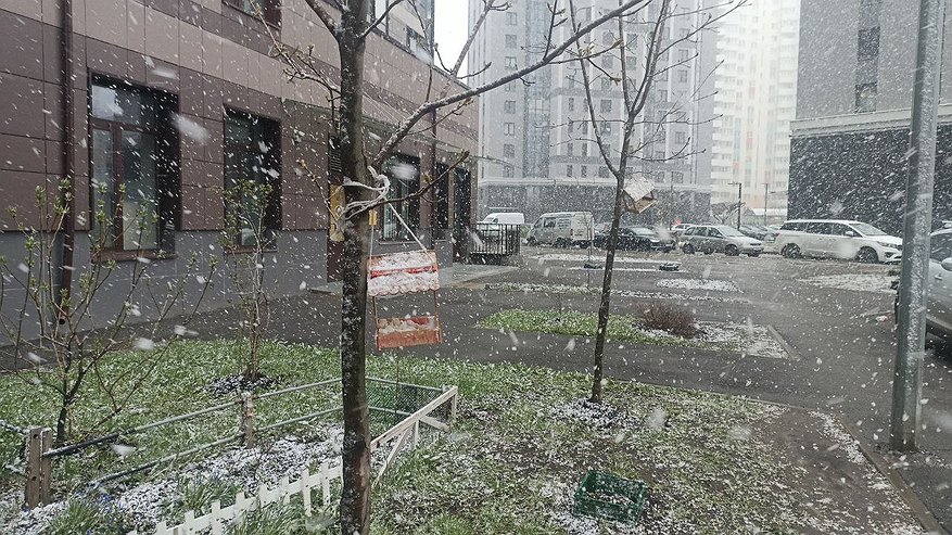 Главная картинка новости: Мокрый снег и заморозки: Гидрометцентр объявил о резком похолодании с 14 июня