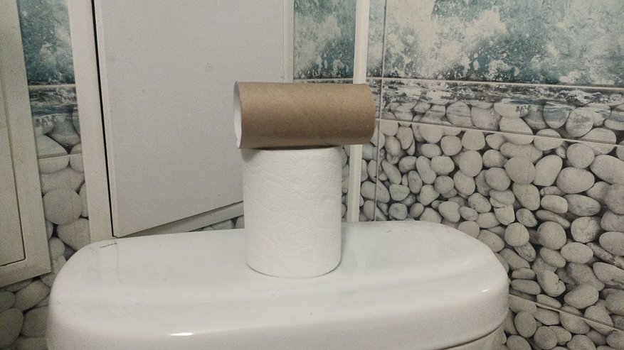 Главная картинка новости: Втулки от туалетной бумаги берегу как зеницу ока: вот как их применяю — полезная вещь для решения многих задач