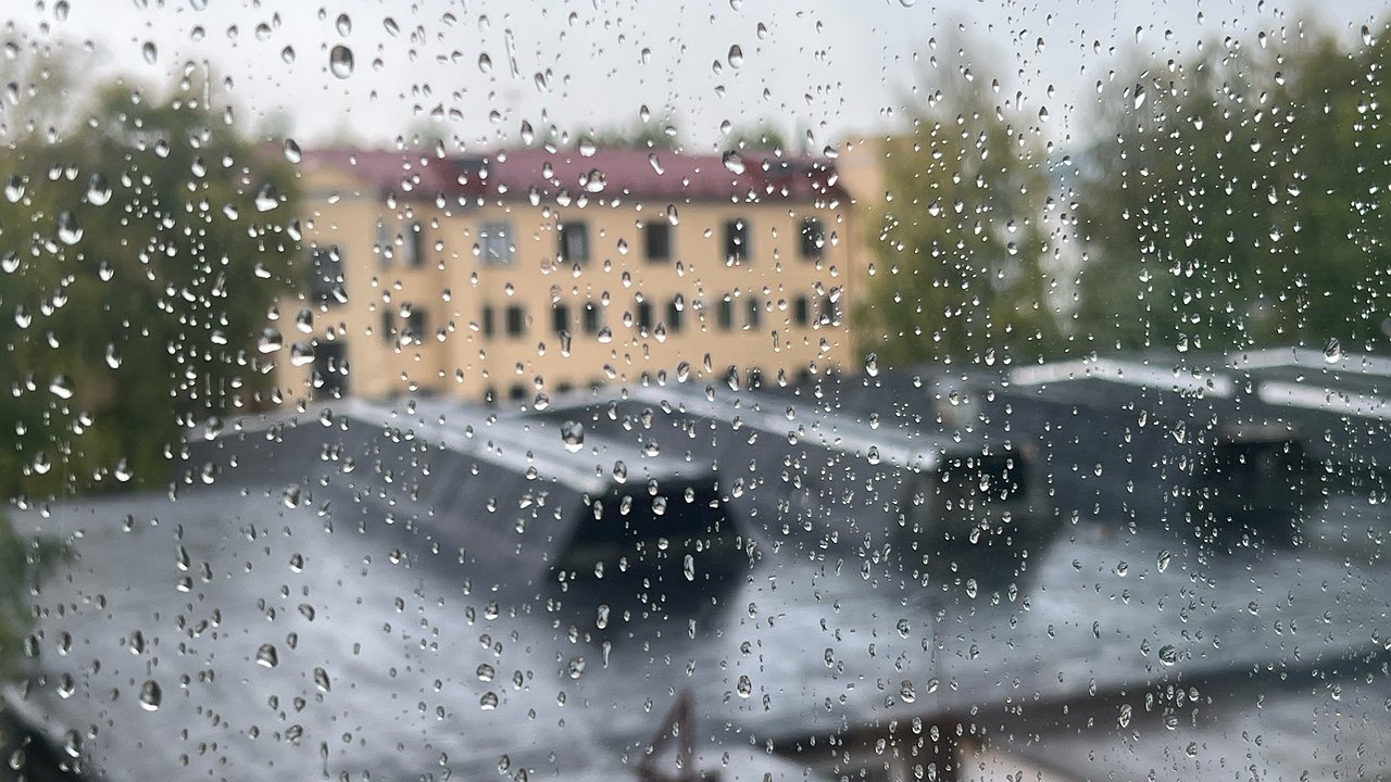 Главная картинка новости: Погода в Калужской области 26 июня: дожди и грозы на фоне прохладной температуры