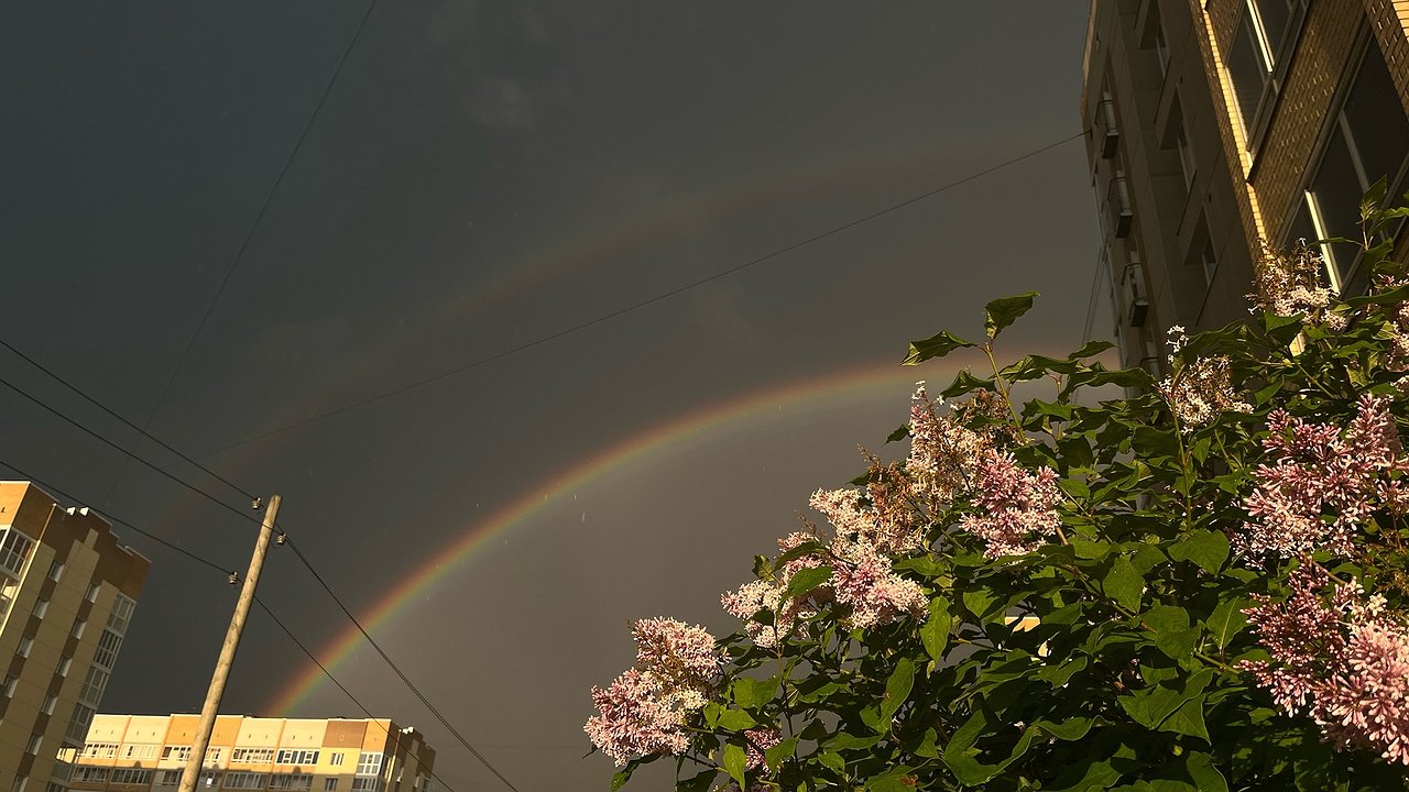 Главная картинка новости: Циклон надвигается: в понедельник в Калужской области усилится ветер и пройдут ливни