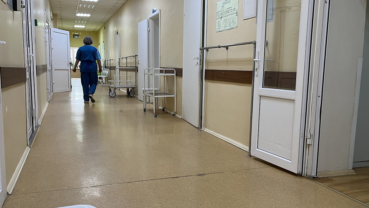 Главная картинка новости: Участники СВО смогут бесплатно ездить на военно-врачебные комиссии