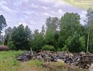 Загрязнитель леса поплатится за свалку в Калужской области