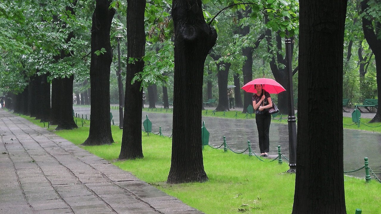Главная картинка новости: Жара, проливные дожди, ранняя осень? Нас ждет аномальный август. Прогноз на последний месяц лета
