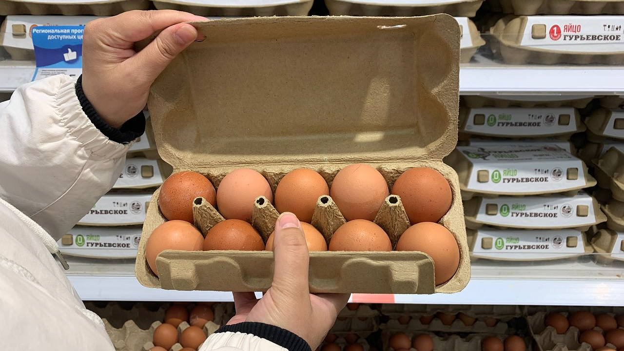 Главная картинка новости: Работники птицефабрик никогда не берут яйца в магазинах категории СО: вот почему стоит их обходить стороной - запомните на всю жизнь