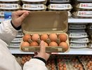 Работники птицефабрик никогда не берут яйца в магазинах категории СО: вот почему стоит их обходить стороной - запомните на всю жизнь