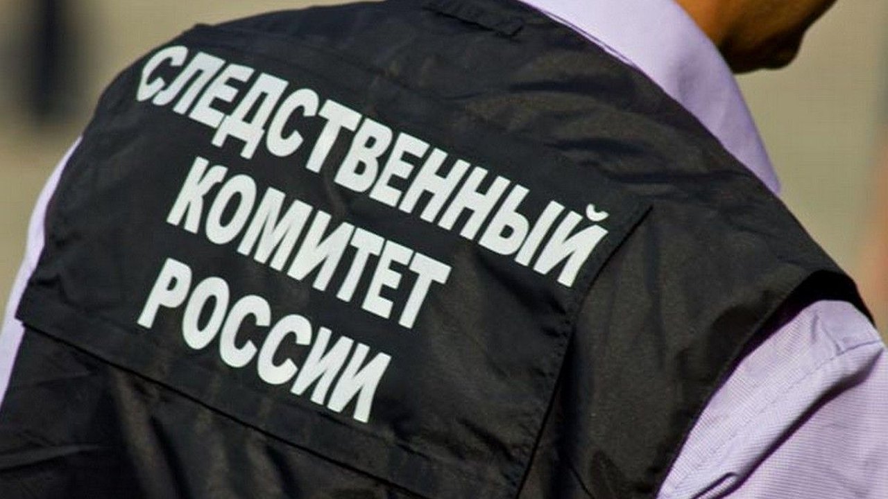 Главная картинка новости: Начальник калужского лесничества предстанет перед судом за гибель подчиненных