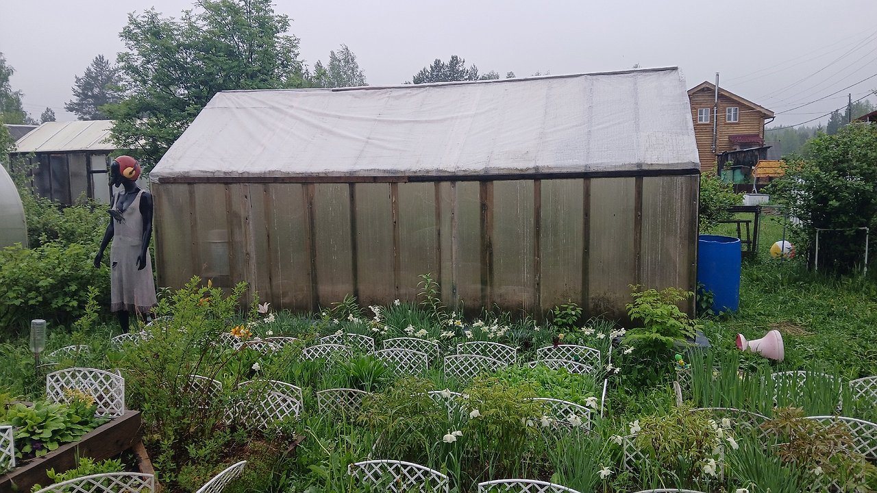 Главная картинка новости: Огурцы на зиму: самый вкусный рецепт с лайфхаком для хруста в 5 вариантах