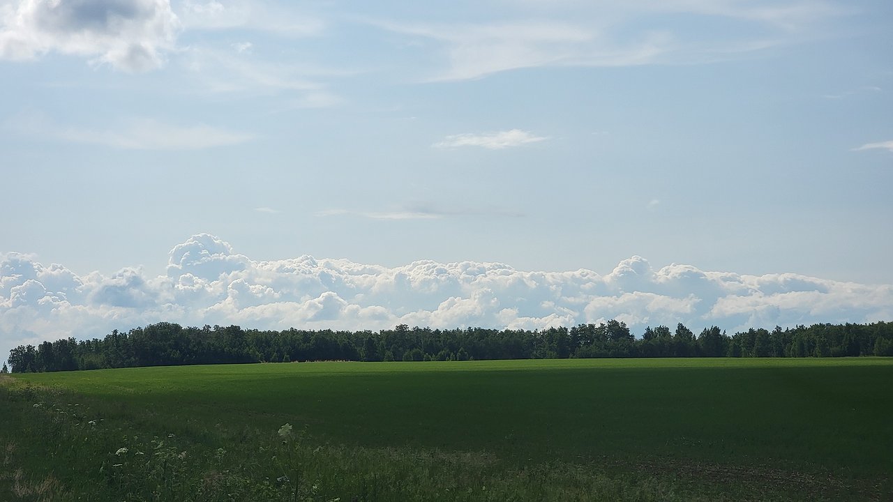 Главная картинка новости: Калужскую область ожидает прохладная ночь и комфортный день 13 августа
