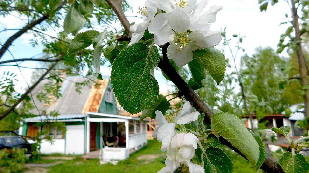 Главная картинка новости: Прибыльный бизнес на своей даче: как Виктор открыл автомойку, поссорился с соседями и попал под штрафы