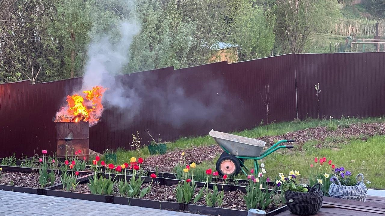 Главная картинка новости: Американская хитрость: как в США избавляются от сорняков на тротуарной плитке