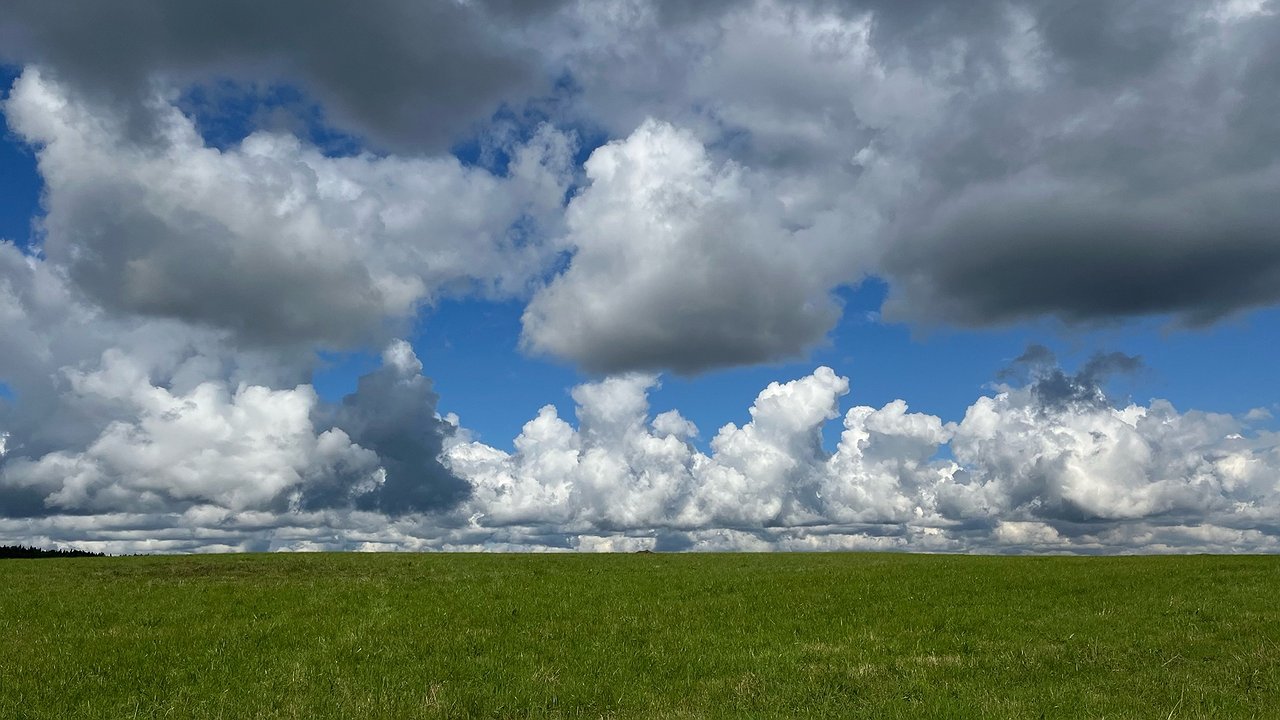 Главная картинка новости: В Калужской области ожидается неделя тепла с перепадами температур