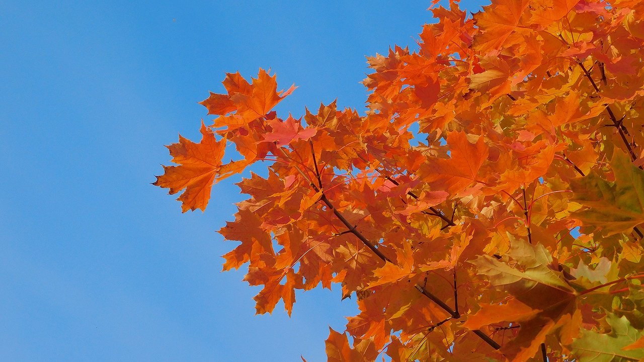 Главная картинка новости: Дожди и тепло ожидаются в Калужской области 23 сентября 