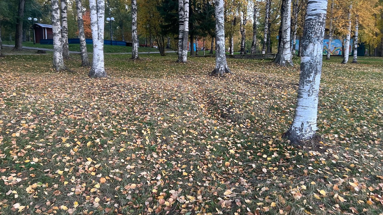 Главная картинка новости: В Калужской области потеплеет до +15 градусов 3 октября 