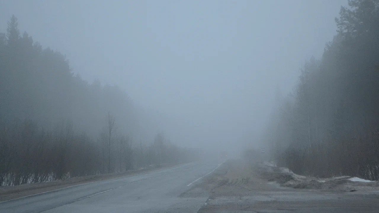 Главная картинка новости: Туманы и дожди ожидаются в Калужской области 10 октября 