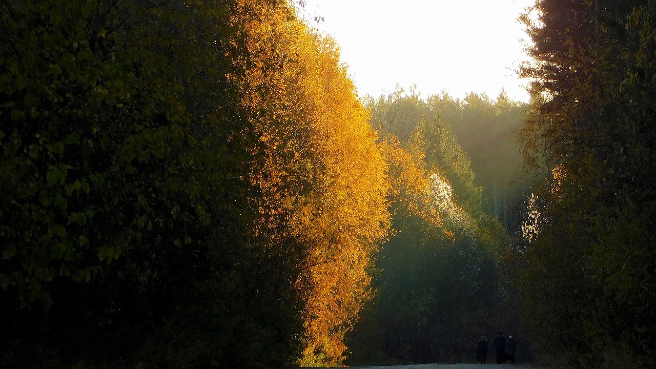 Главная картинка новости: Дожди и прохлада ожидаются в Калужской области 14 октября 
