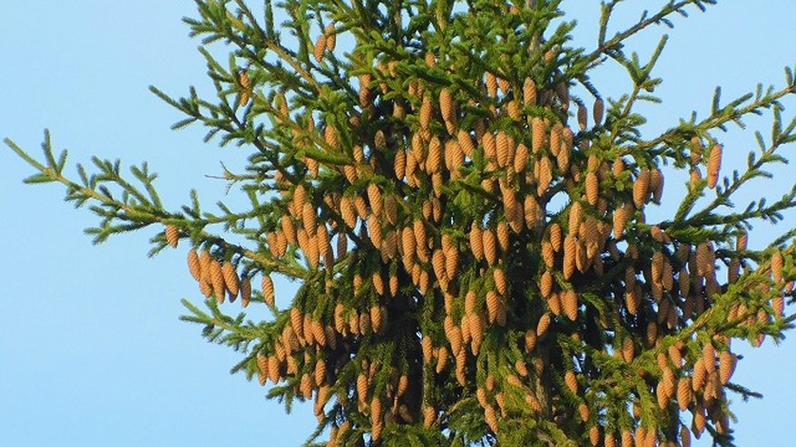 Главная картинка новости: В Калужскую область пришли холода: 17 октября температура воздуха упадет до -1 градуса 