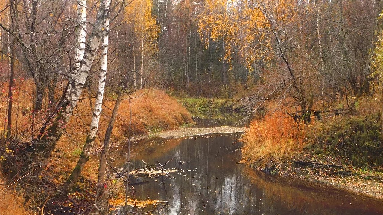 Главная картинка новости: Калужская область готовится к пасмурному воскресенью с моросящим дождем 