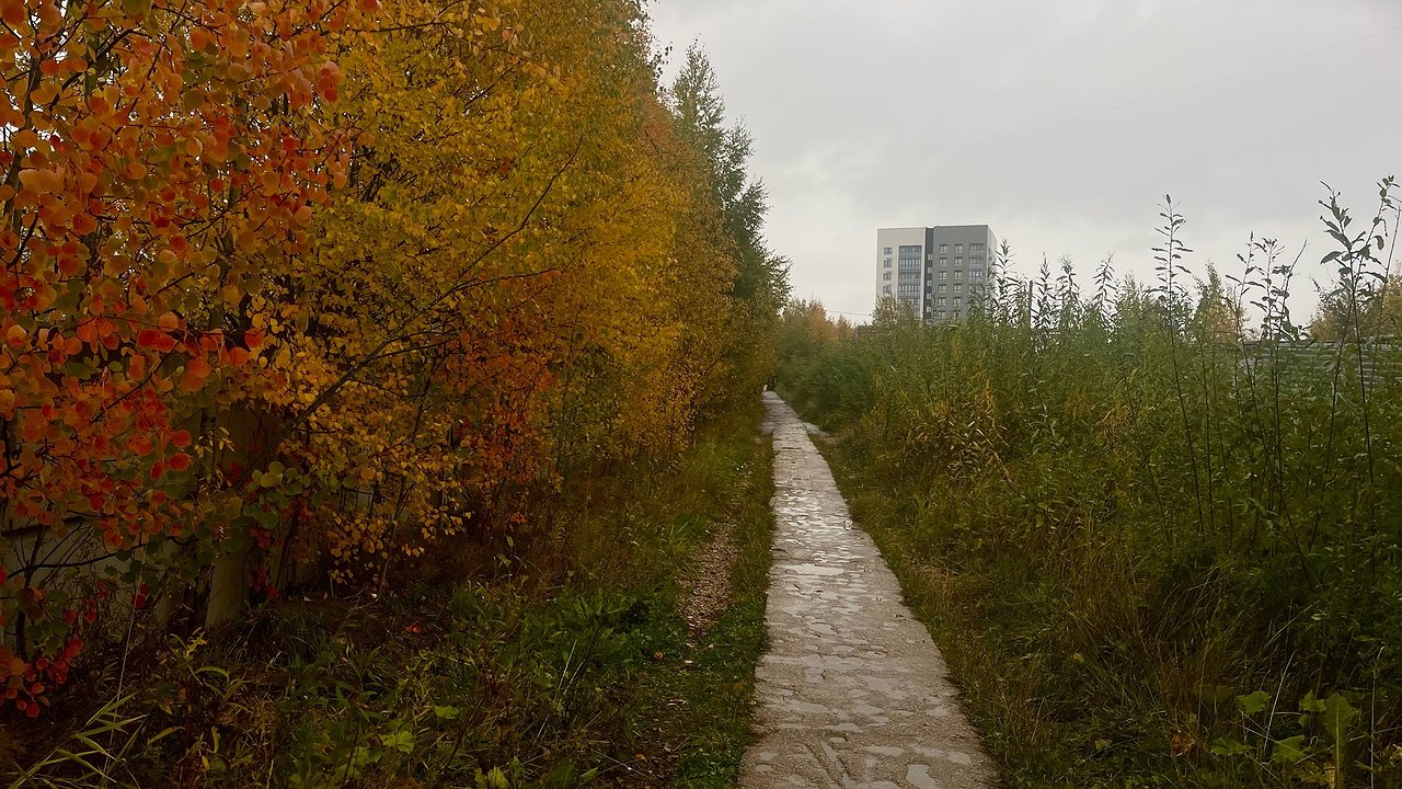 Главная картинка новости: Туманы и дожди ожидаются в Калужской области 22 октября 
