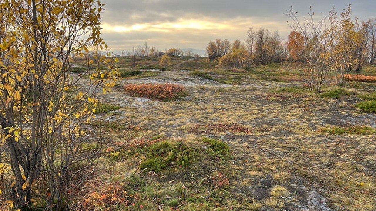 Главная картинка новости: В Калужской области ожидается дождливая погода и слабая геомагнитная буря 29 октября 