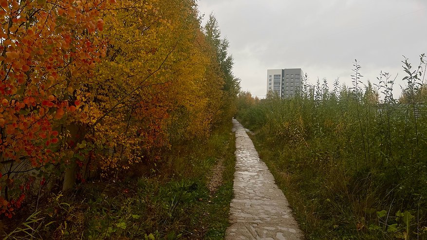 Главная картинка новости: В Калужской области 30 октября синоптики обещают +9 градусов и небольшие дожди 