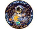 Калужская художница создала эмблему для космического корабля "Союз МС-28"