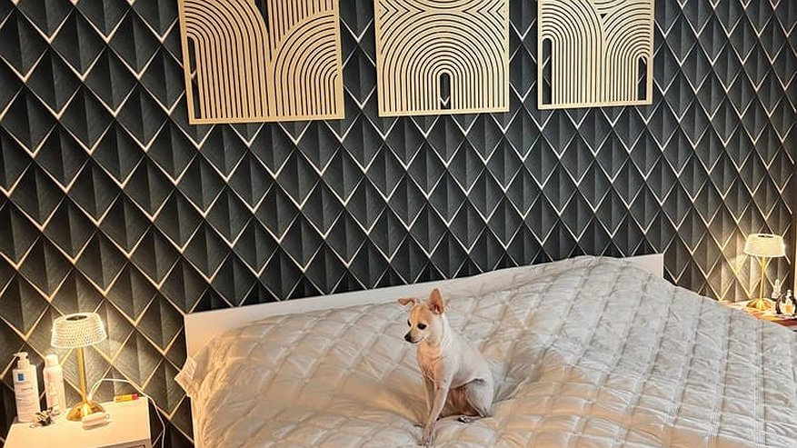 Главная картинка новости: Ремонт начинается здесь: ТОП 9 товаров для дома с Wildberries