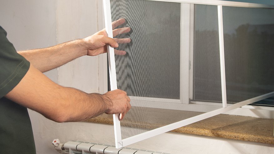 Главная картинка новости: Демонтаж москитной сетки на зиму: аргументы «за» и «против».