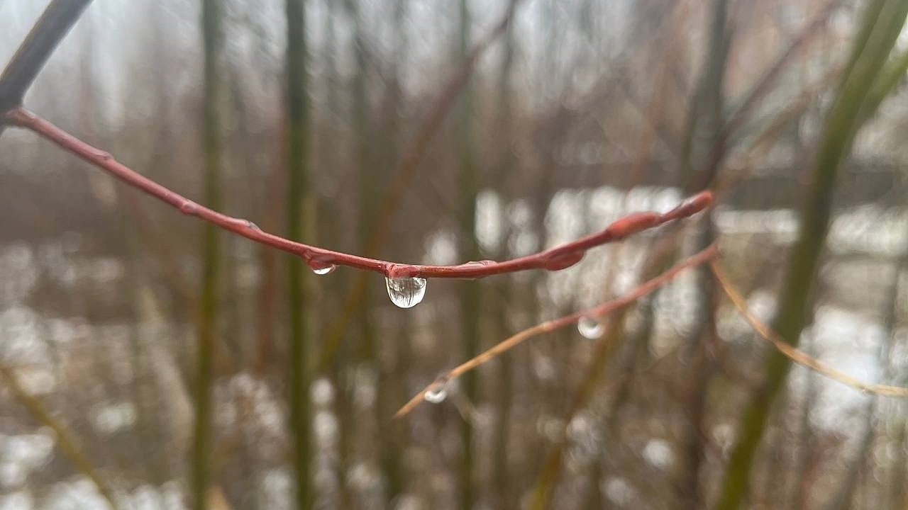 Главная картинка новости: В Калужской области 18 ноября ожидается прохладная и дождливая погода 