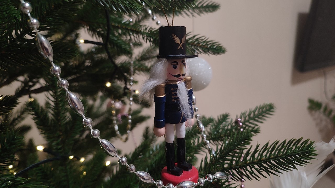 Главная картинка новости: В Калуге стартует новогодняя торговля елками: восемь специализированных площадок предложат жителям праздничные деревья