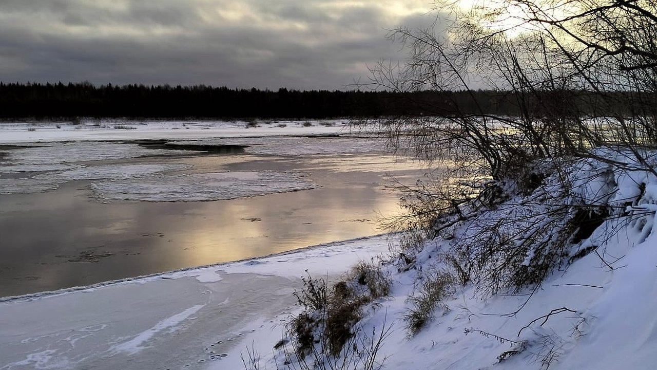 Главная картинка новости: Гололед и туманы ожидаются в Калужской области 18 декабря