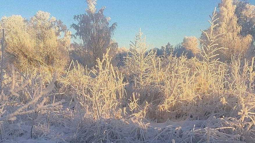 Главная картинка новости: В Калужскую область придут аномальные морозы до -18 градусов