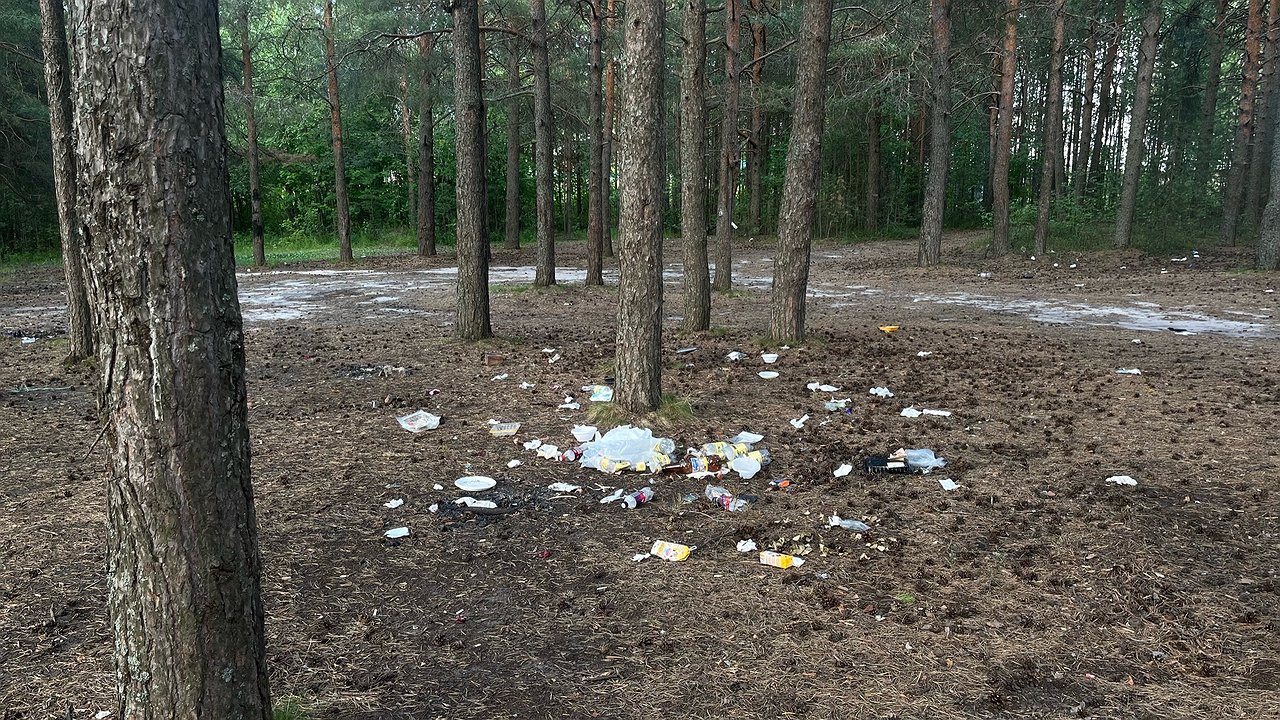 Главная картинка новости: В Калужской области с начала года ликвидировали 12 незаконных свалок