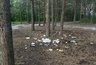 Миниатюра новости: В Калужской области с начала года ликвидировали 12 незаконных свалок