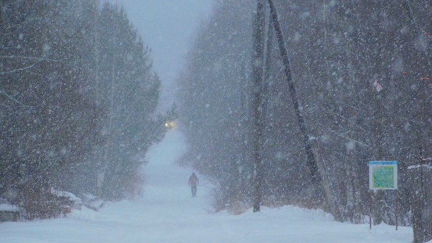Главная картинка новости: Калужская область готовится к снежной буре 31 декабря