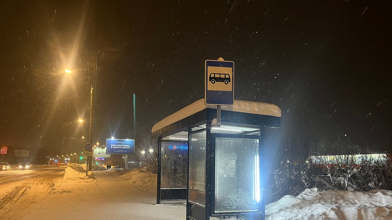 Главная картинка новости: Жителей Калужской области ждут ледяные выходные: мороз крепчает