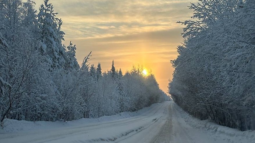 Главная картинка новости: Калужскую область 12 января накроет снегопад и гололедица