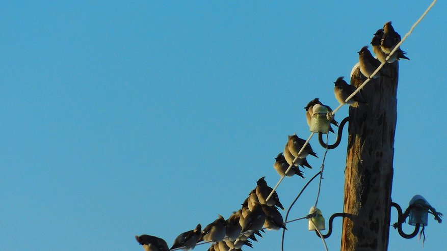 Главная картинка новости: Синоптики предупредили о сложных погодных условиях в Калужской области