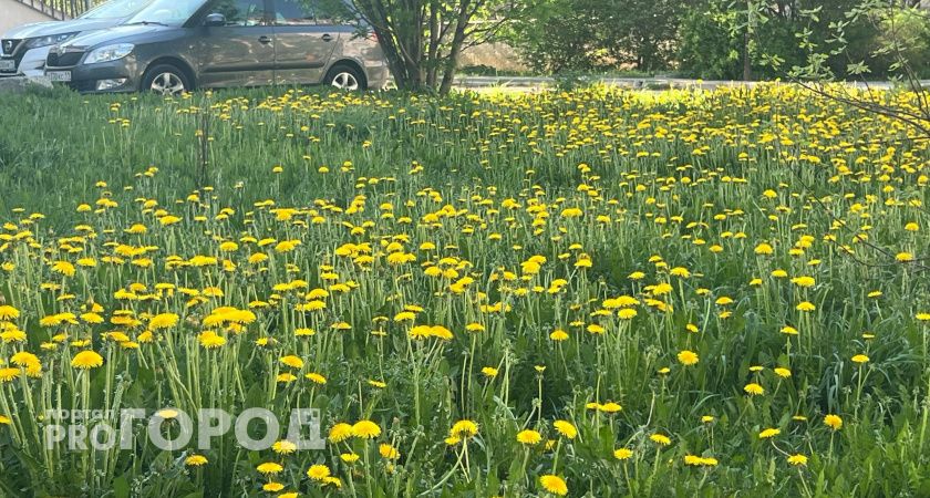 В Калужской области потеплело до +23 градусов