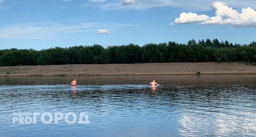 В Калужской области пруд в деревне Верхняя Вырка находится под угрозой исчезновения