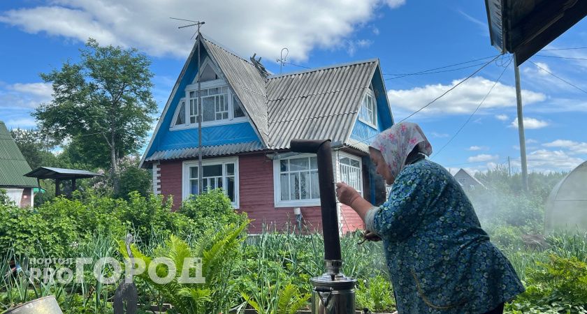 В Калужской области у дачников пострадал урожай и имущество из-за урагана 