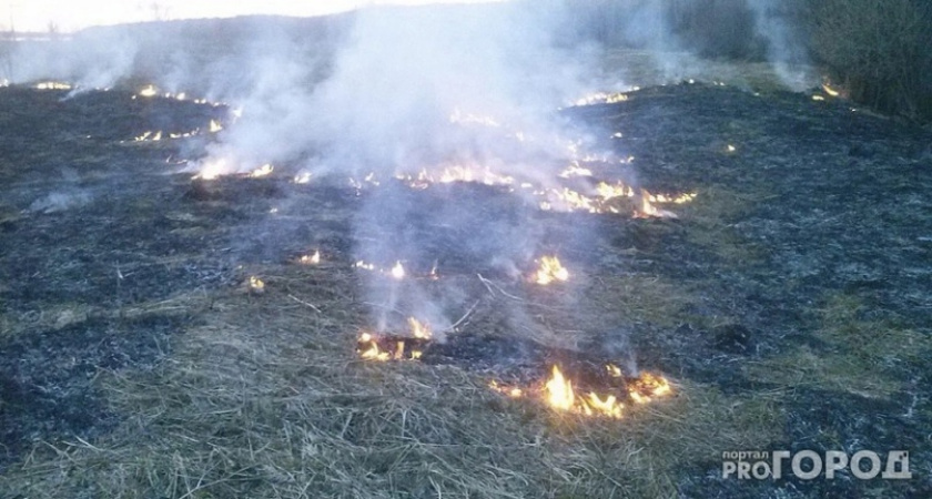 В Калужской области объявили третий уровень пожарной опасности из-за аномальной жары