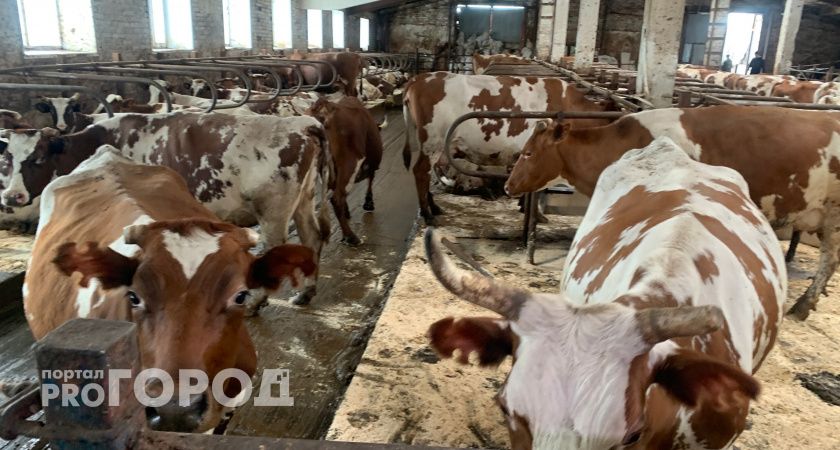 В школах Калужской области откроют аграрные классы