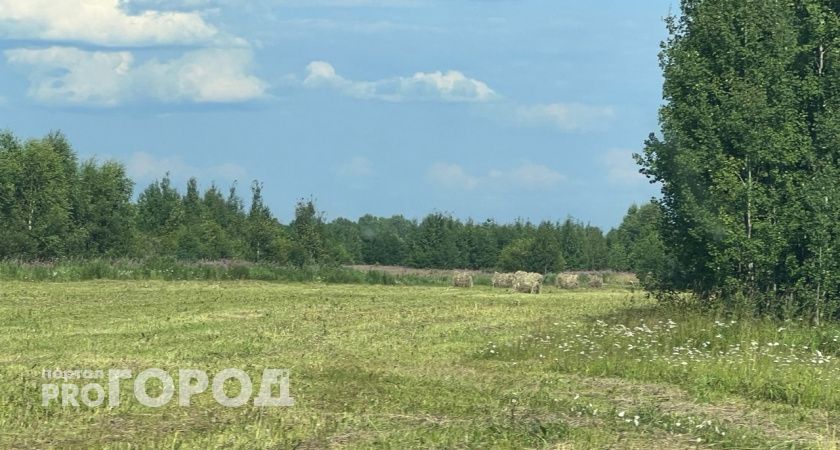 Калужские сельхозпроизводители собрали порядка 50 тысяч тонн зерна