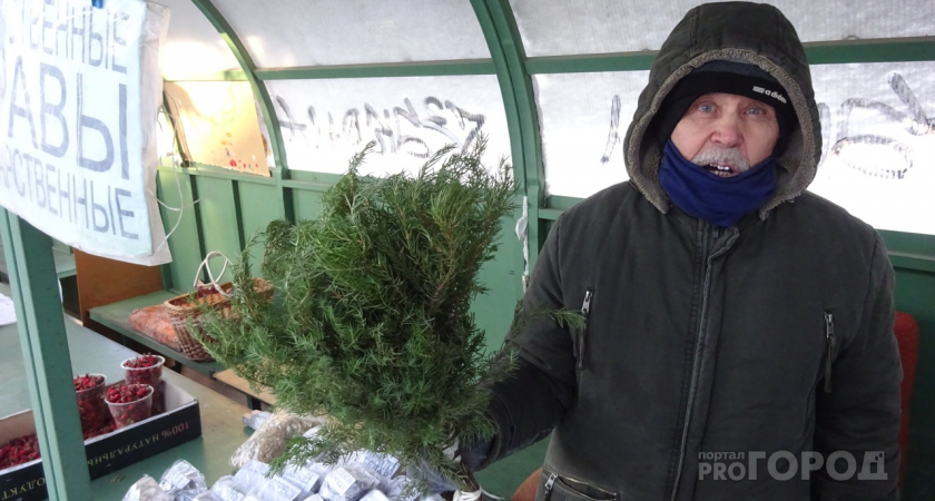 Зелень больше не морожу и не сушу на зиму: делаю из укропа, петрушки и чеснока вкуснейшую приправу