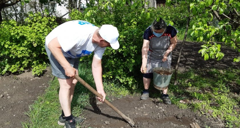 Без мульчи и навоза: посыпьте грядки этим порошком в августе – урожай в 2025 году увеличится