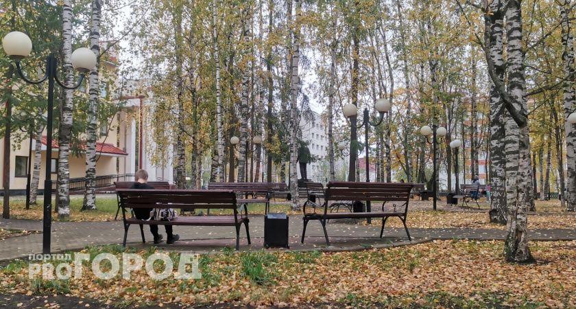 В первую неделю осени в Калужской области дожди не ожидаются